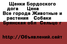 Щенки Бордоского дога.  › Цена ­ 30 000 - Все города Животные и растения » Собаки   . Брянская обл.,Сельцо г.